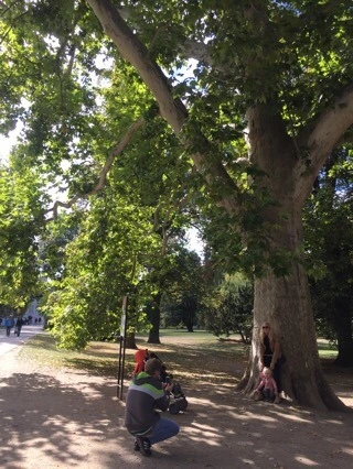 attachImage_3207936520.jpeg?type=w773