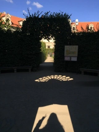 attachImage_900134708.jpeg?type=w773