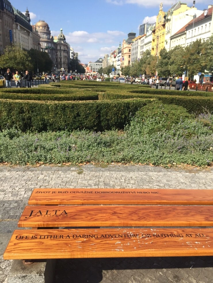 attachImage_216955507.jpeg?type=w773