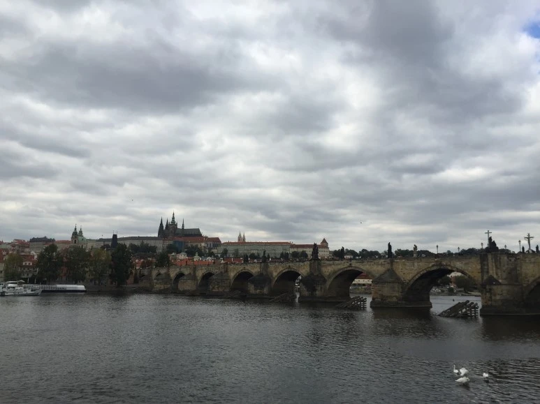 P20150930_200058433_60E37AC4-B884-4E71-AABB-0A827BCE66CC.JPG?type=w773