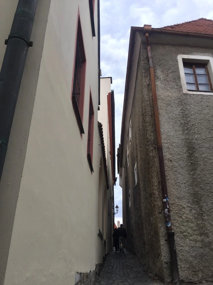 attachImage_4134507438.jpeg?type=w773