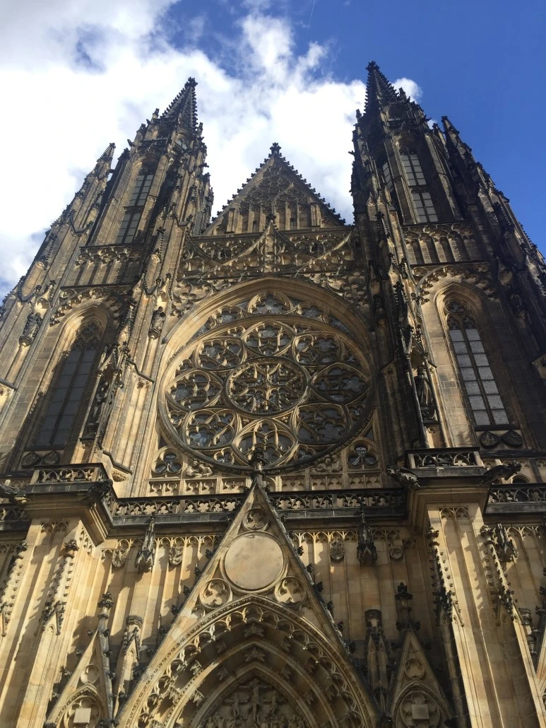 attachImage_1919198850.jpeg?type=w773