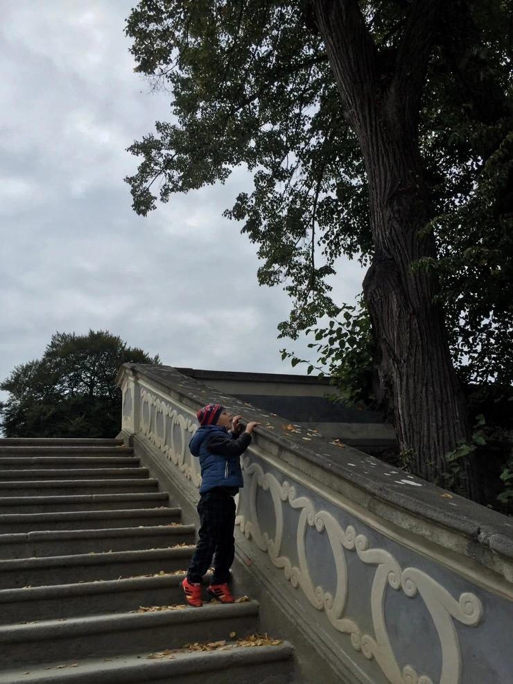 attachImage_1043164501.jpeg?type=w773