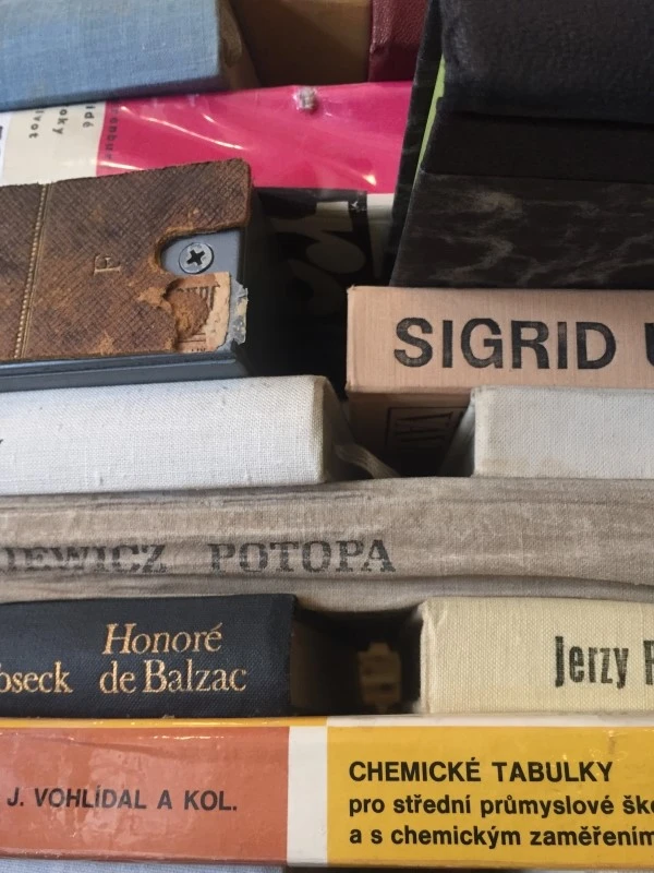 IMG_5989.JPG?type=w2