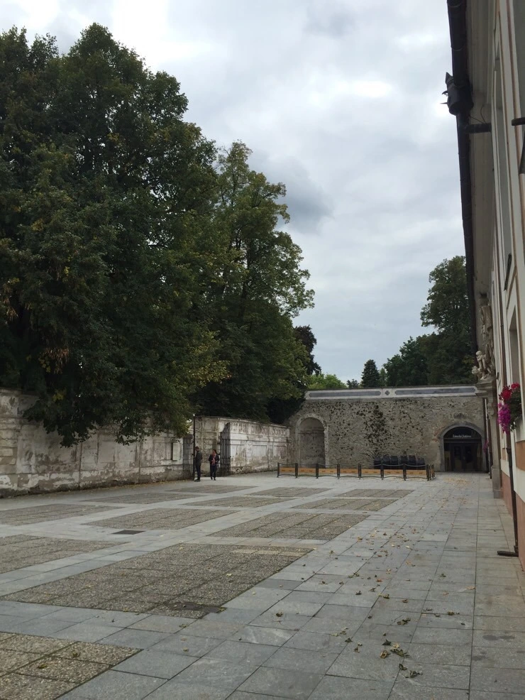 attachImage_1257930888.jpeg?type=w773