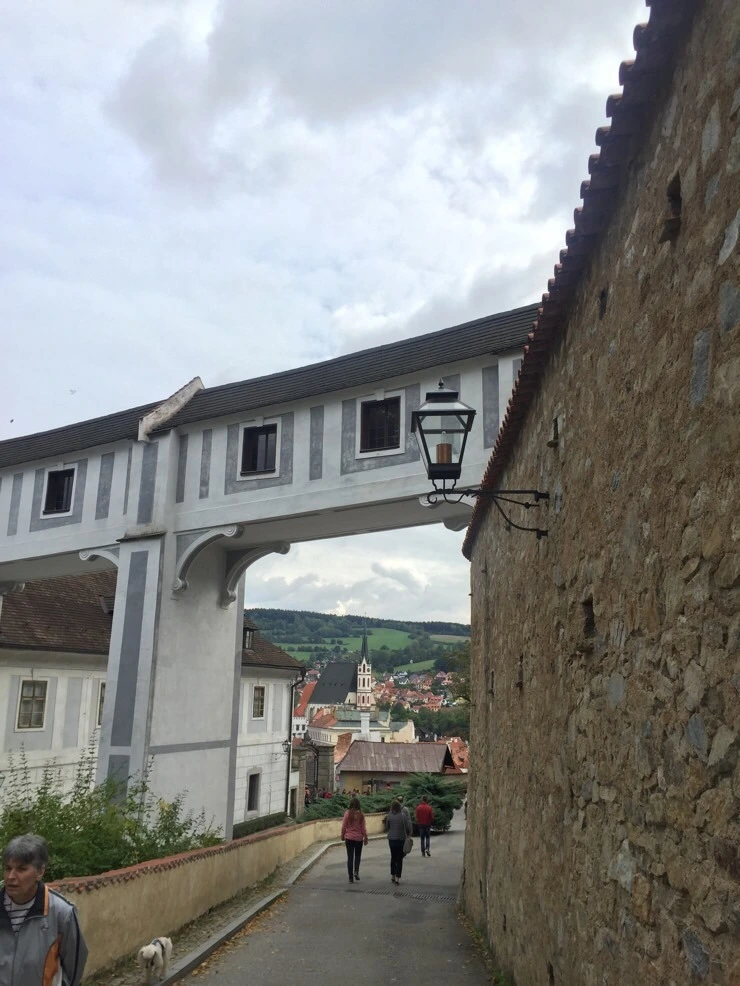 attachImage_683009333.jpeg?type=w773