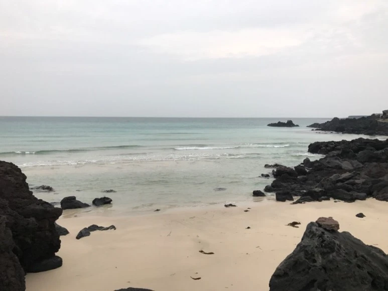 IMG_0397.jpg?type=w773