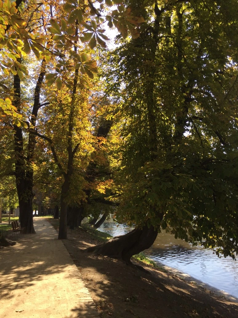 P20151001_210340654_2FFAD0BC-84FF-4EFA-8991-E7C659CF5E6A.JPG?type=w773