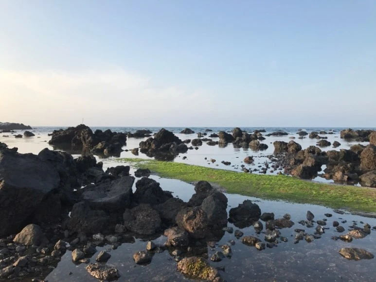 IMG_0223.jpg?type=w773