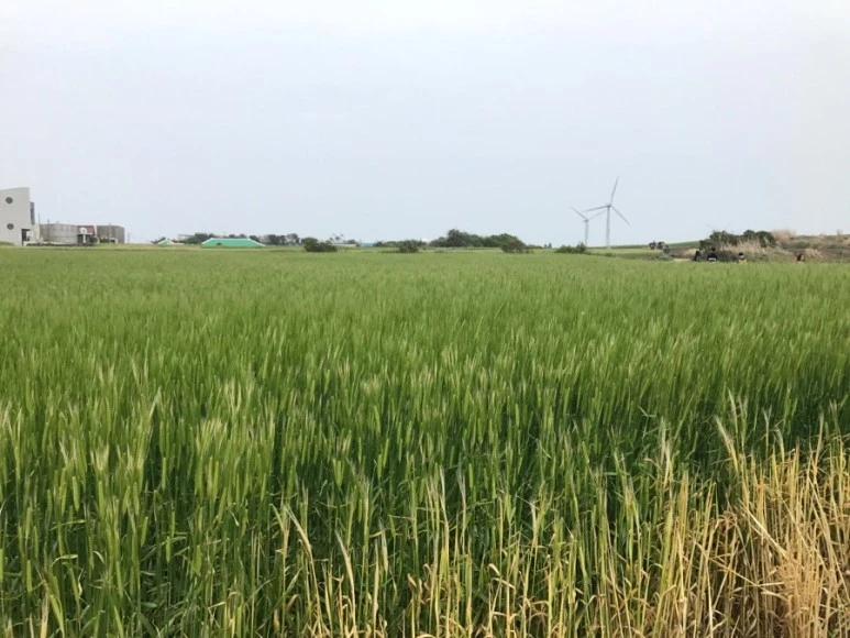 IMG_0270.jpg?type=w773