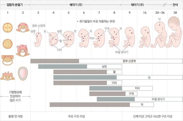 i1_AD000016_1248.jpg?type=w690_fst&amp;wm=N