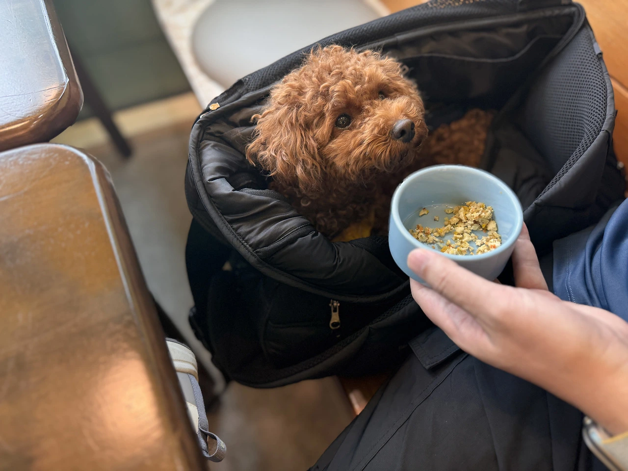 다운로드 (10).jpeg