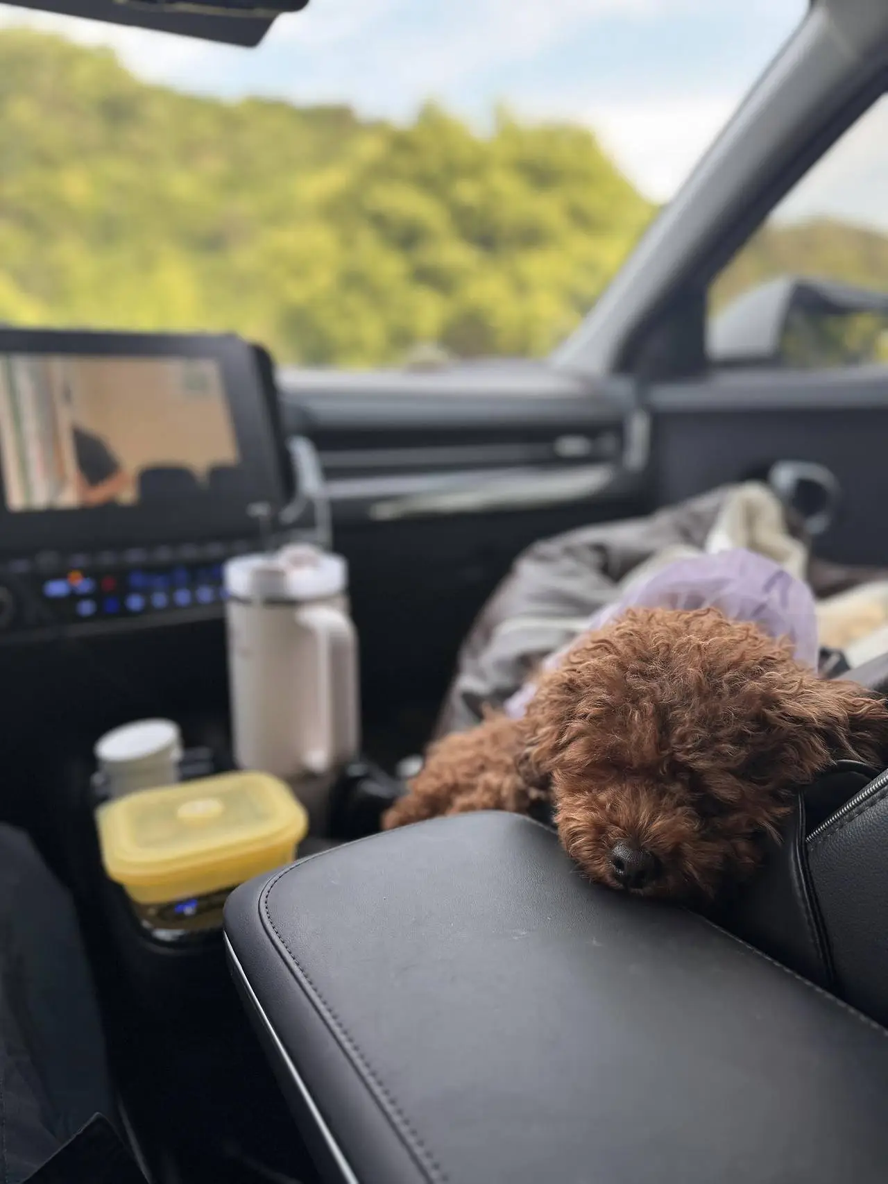 다운로드 (7).jpeg