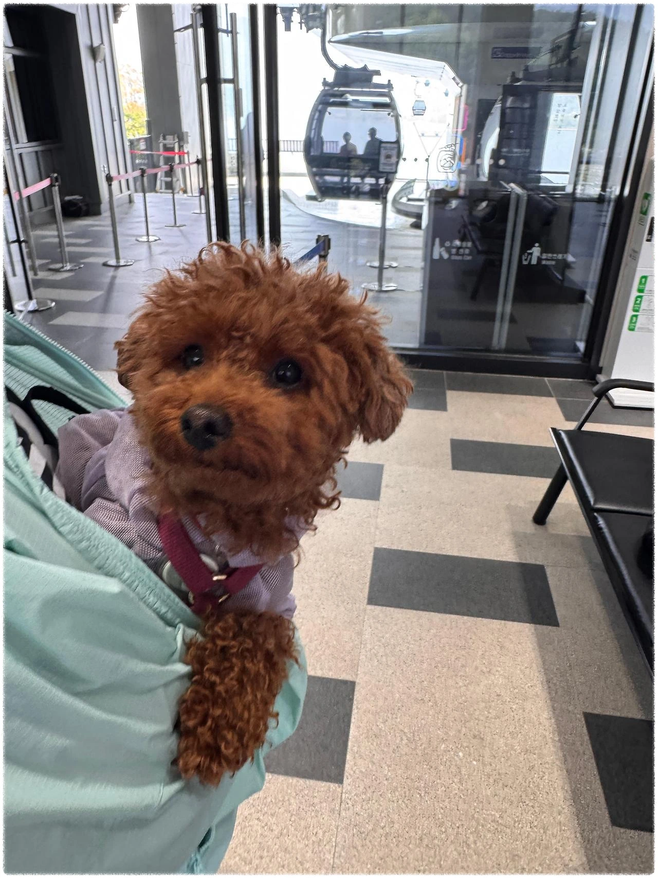 다운로드 (26).jpeg