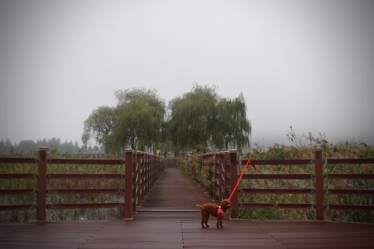 해로 패밀리_사진_20241010_9.jpeg