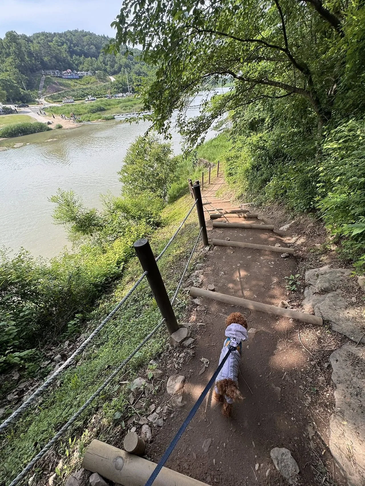 다운로드 (5).jpeg