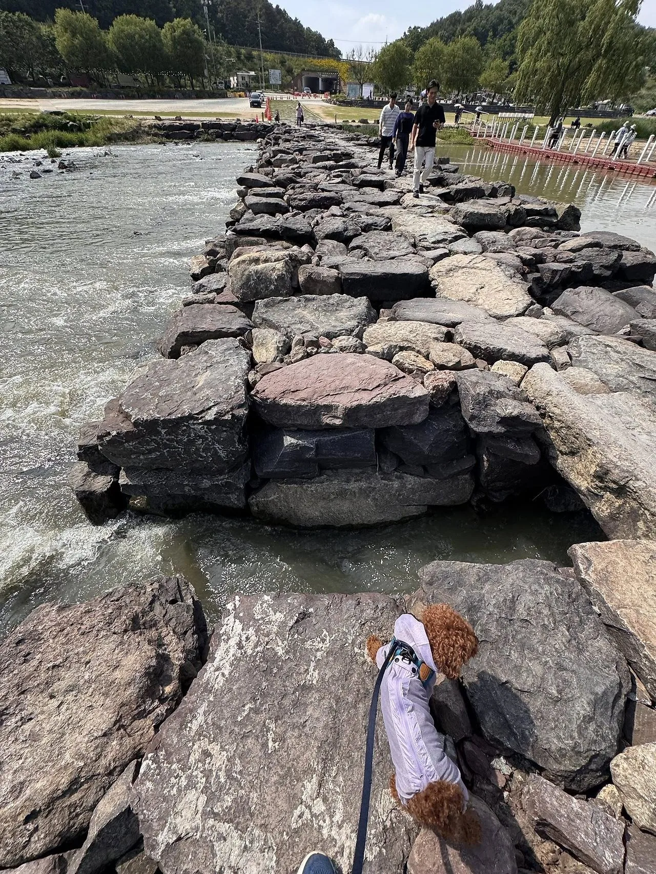 다운로드 (8).jpeg