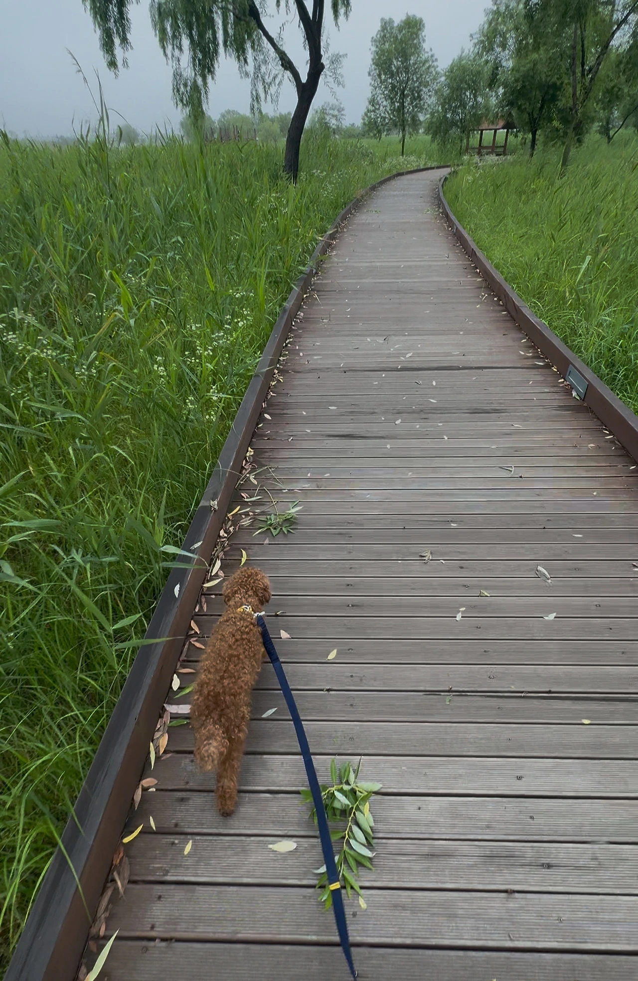 다운로드 (15).jpeg