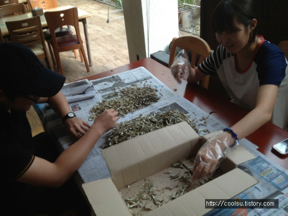 036DFC4C51C4E756242666