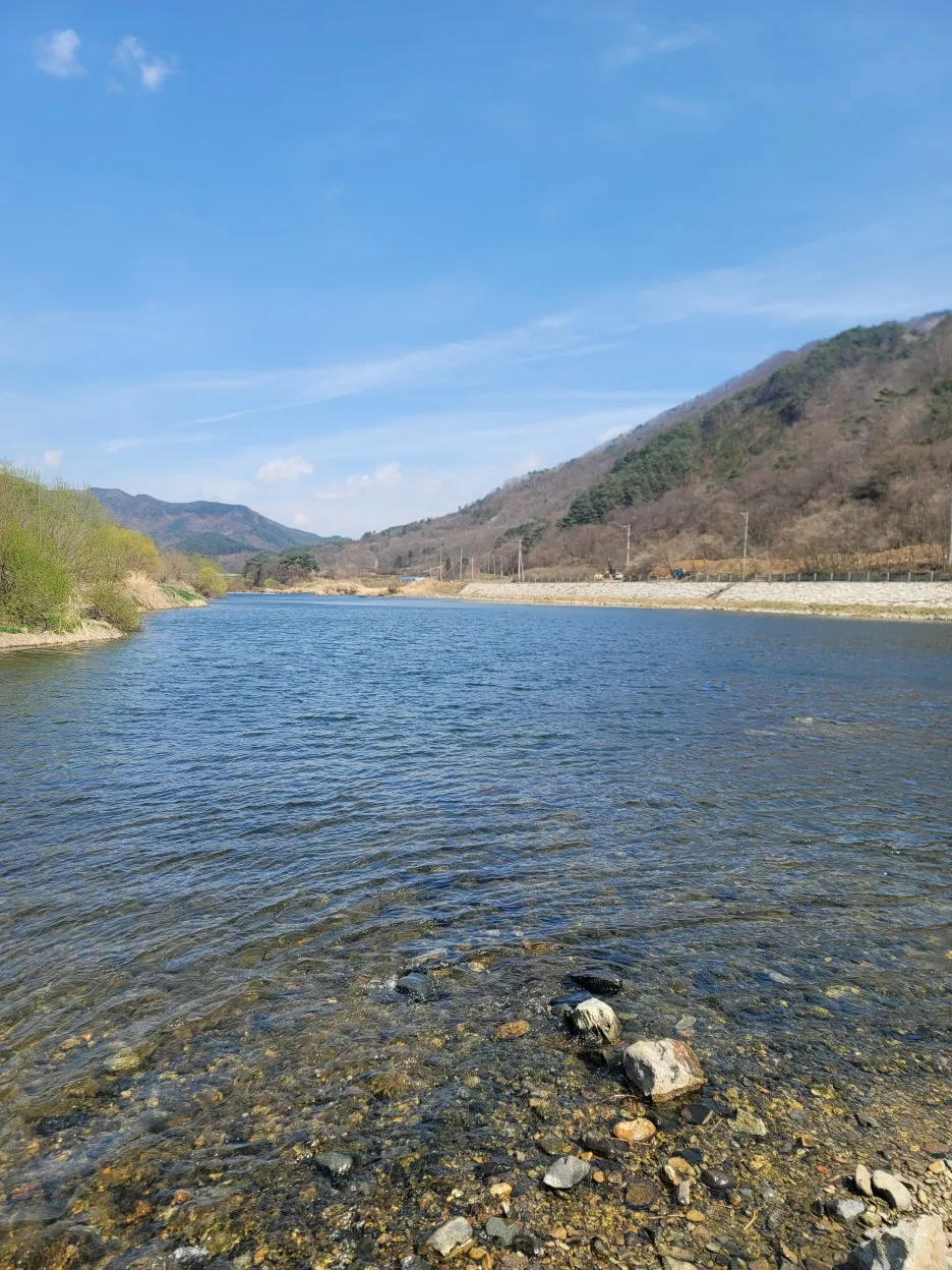 20250328_132955.jpg?type=w1