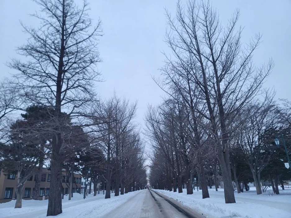 20241222_072613.jpg?type=w1