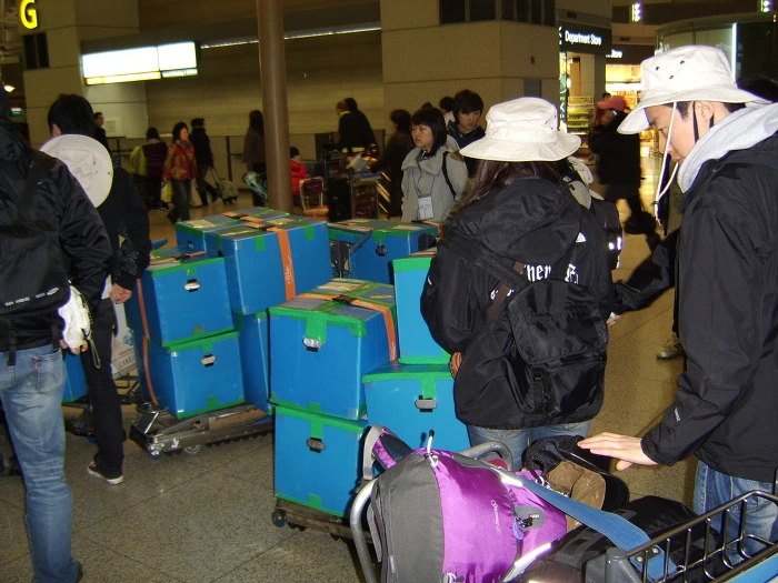 1770C342512B90362D1A4E