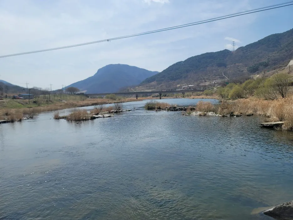 20250328_125012.jpg?type=w1