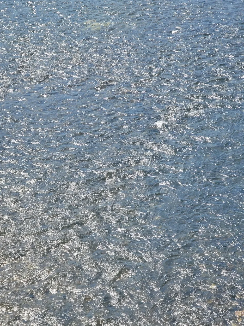 20250328_132455.jpg?type=w1