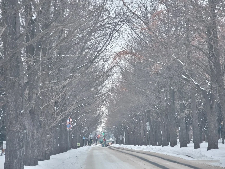 20241222_072632.jpg?type=w1