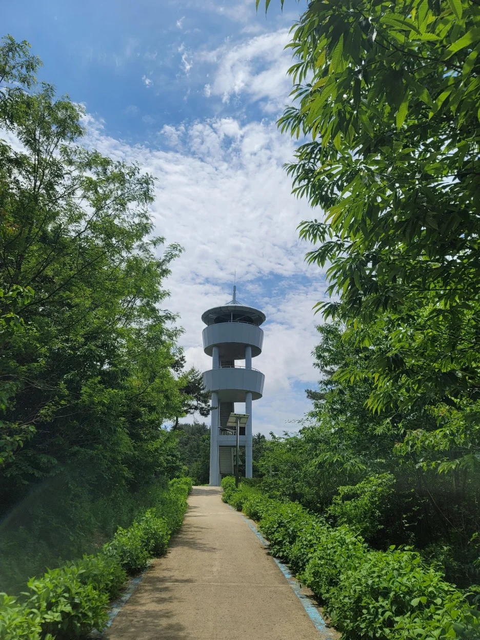 20240511_115318.jpg?type=w1