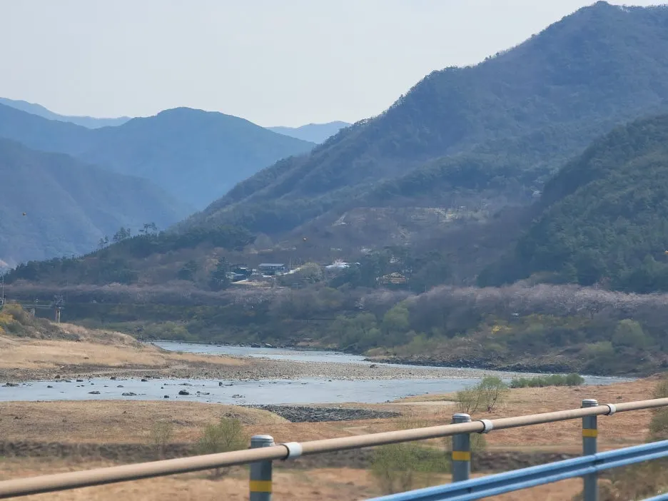 20250329_100753.jpg?type=w1