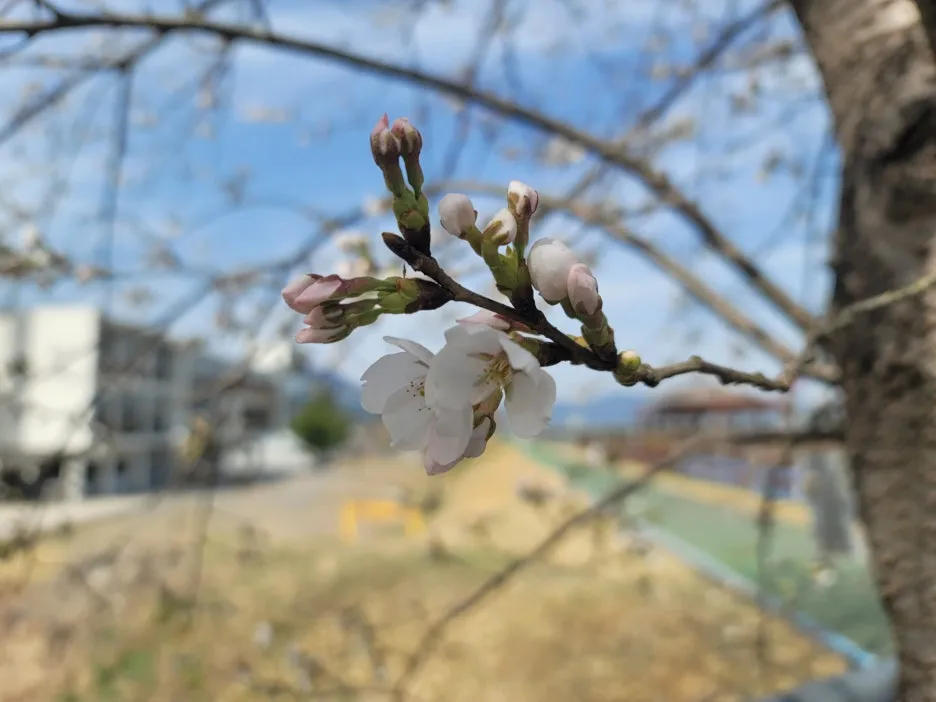 20250329_100835.jpg?type=w1