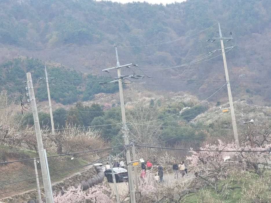 20250329_124908.jpg?type=w1