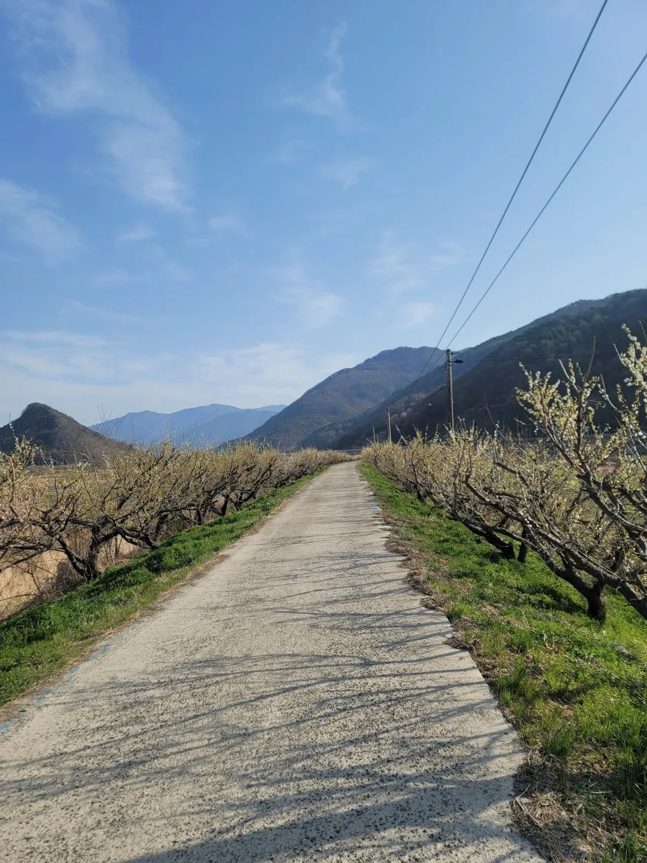 20250329_084320.jpg?type=w1