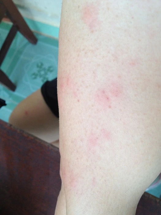 23778738512E9E3C158C4A