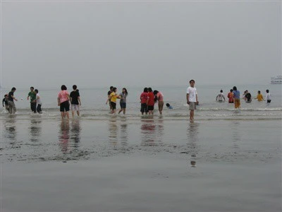 1248064B51260EAE039364