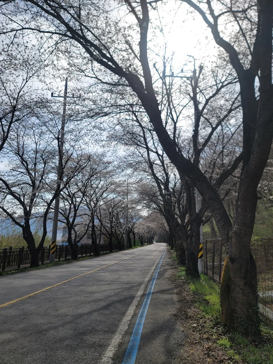 20250329_094421.jpg?type=w1