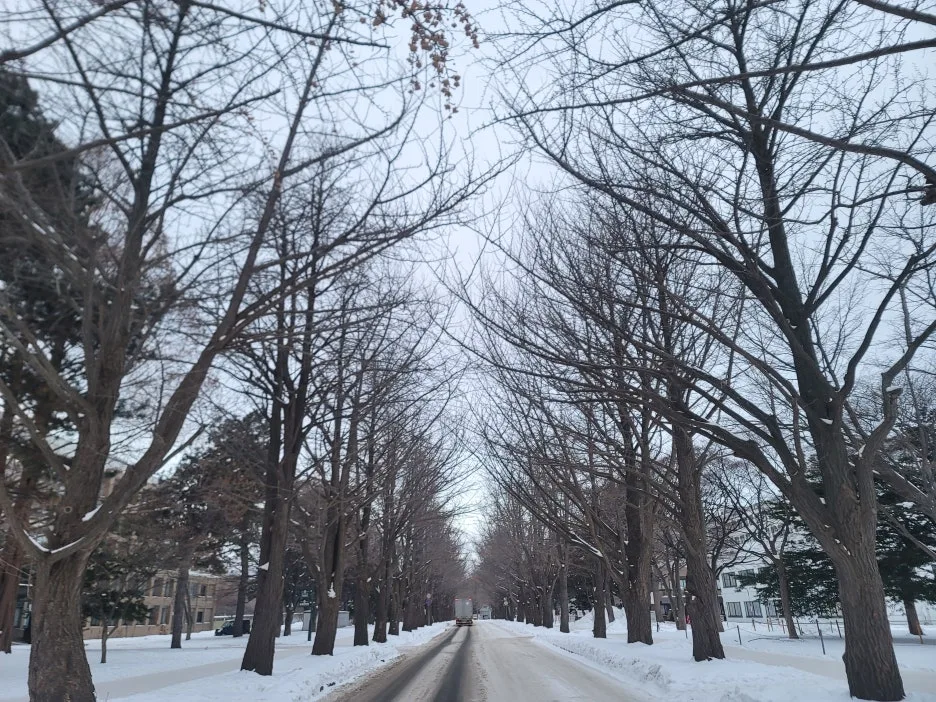 20241222_073159.jpg?type=w1