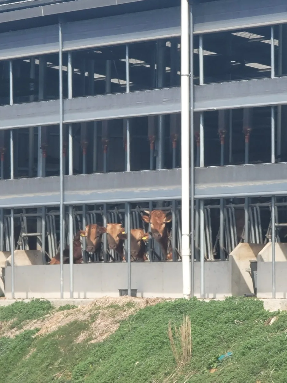 20250328_145836.jpg?type=w1