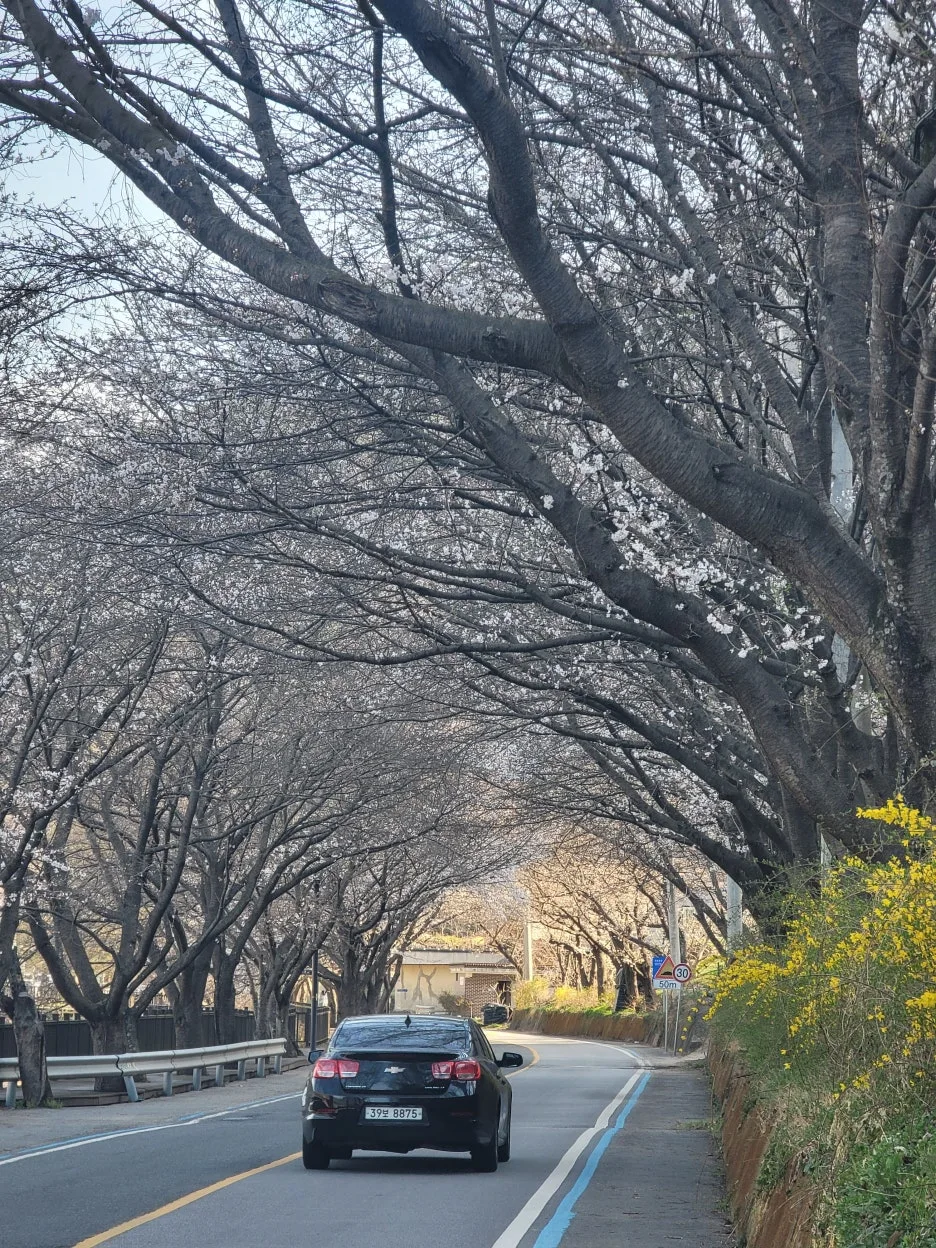 20250329_085129.jpg?type=w1