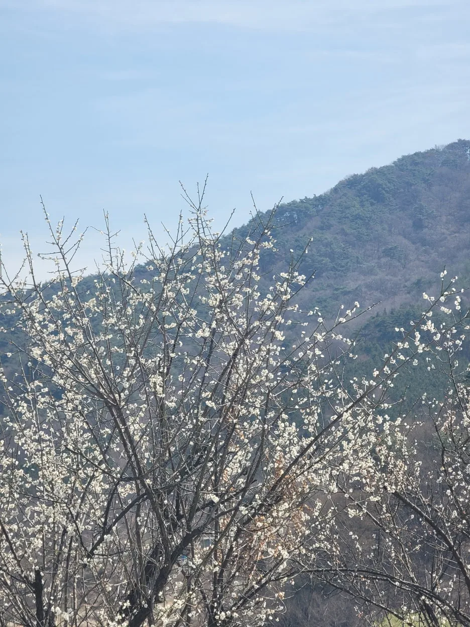 20250328_131910.jpg?type=w1