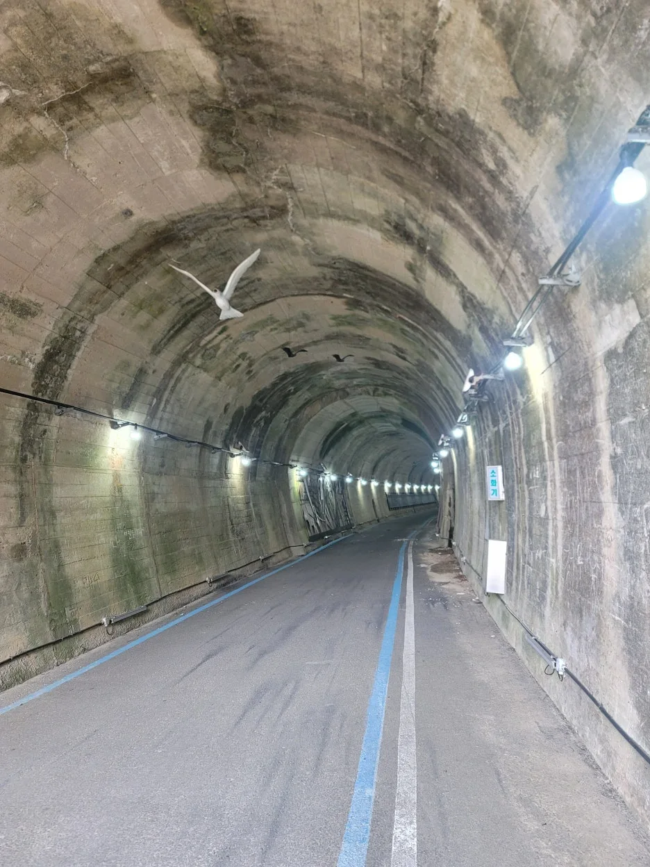 20250328_153607.jpg?type=w1