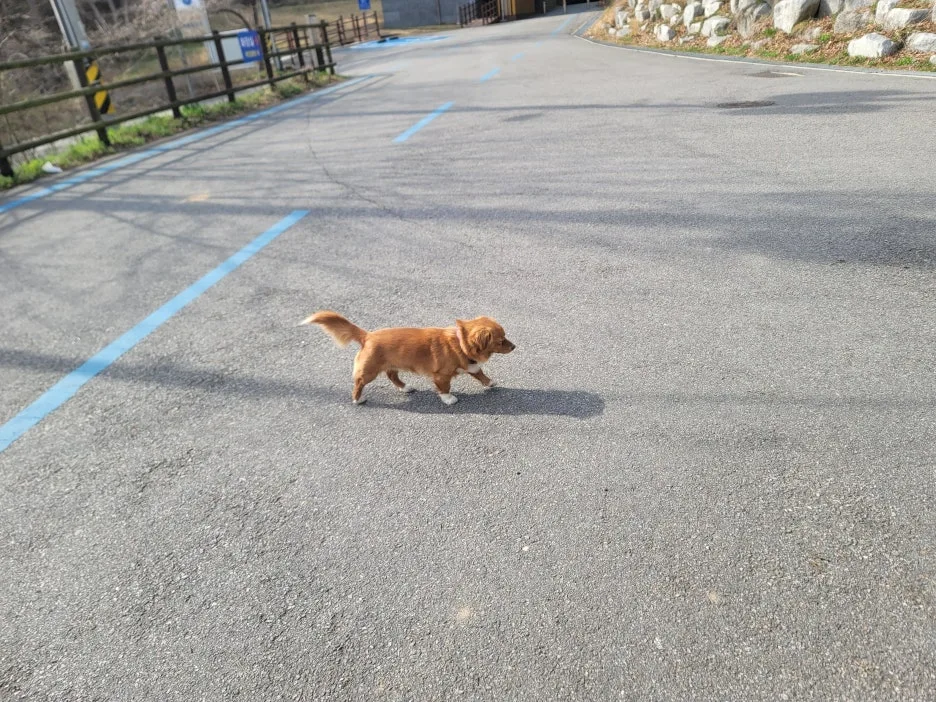 20250328_153908.jpg?type=w1