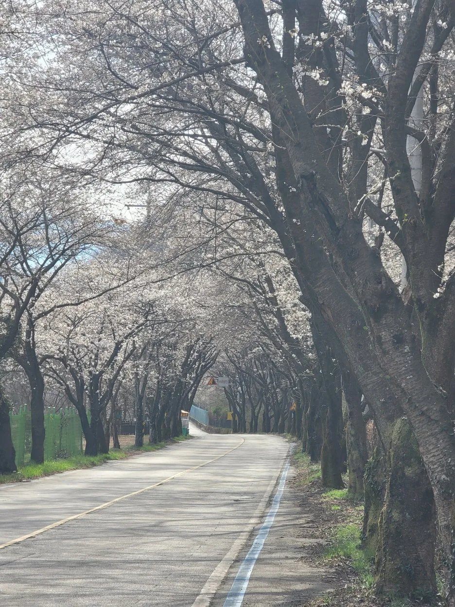 20250329_094432.jpg?type=w1