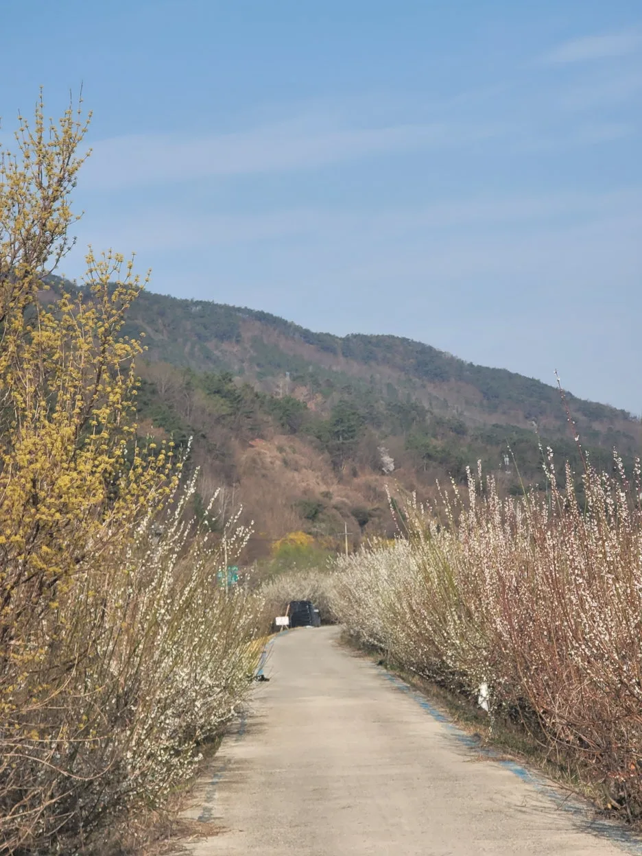 20250329_084014.jpg?type=w1