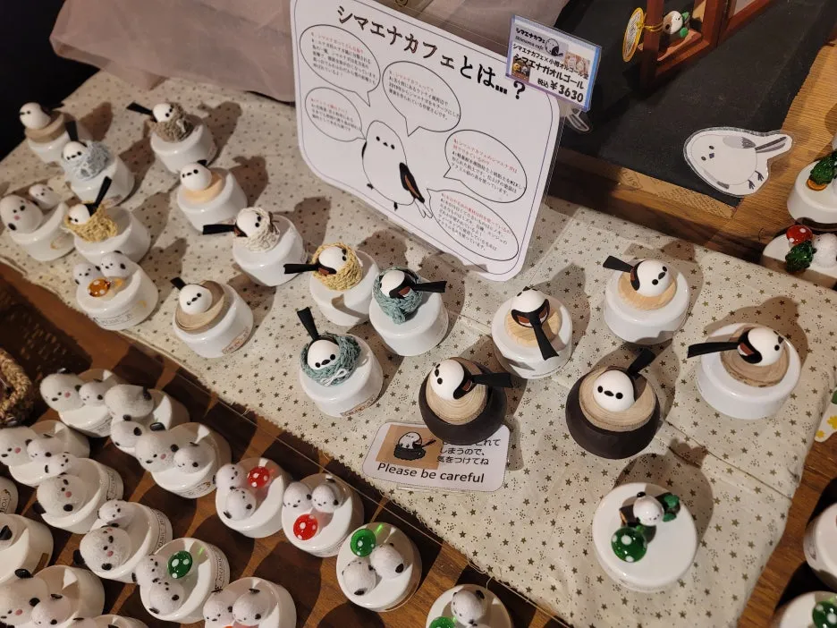 20241221_100748.jpg?type=w1