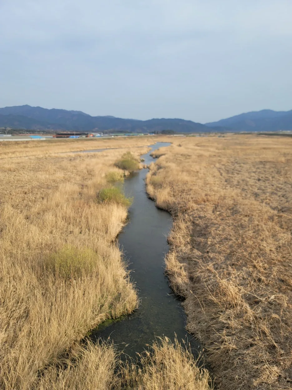 20250328_171836.jpg?type=w1