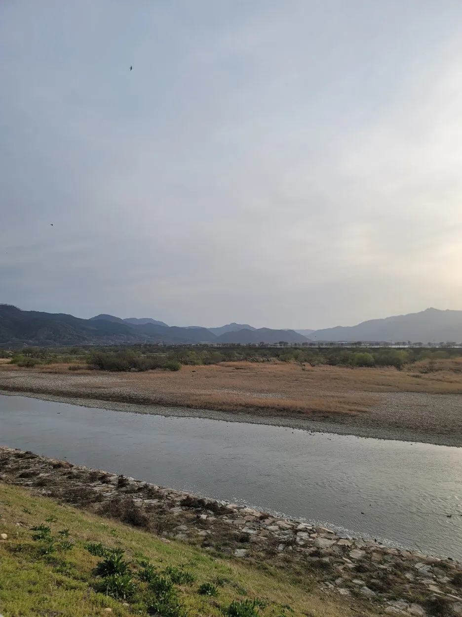 20250328_174345.jpg?type=w1