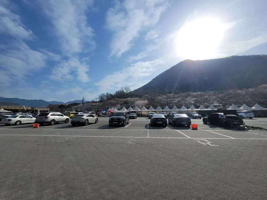 20250329_090226.jpg?type=w1