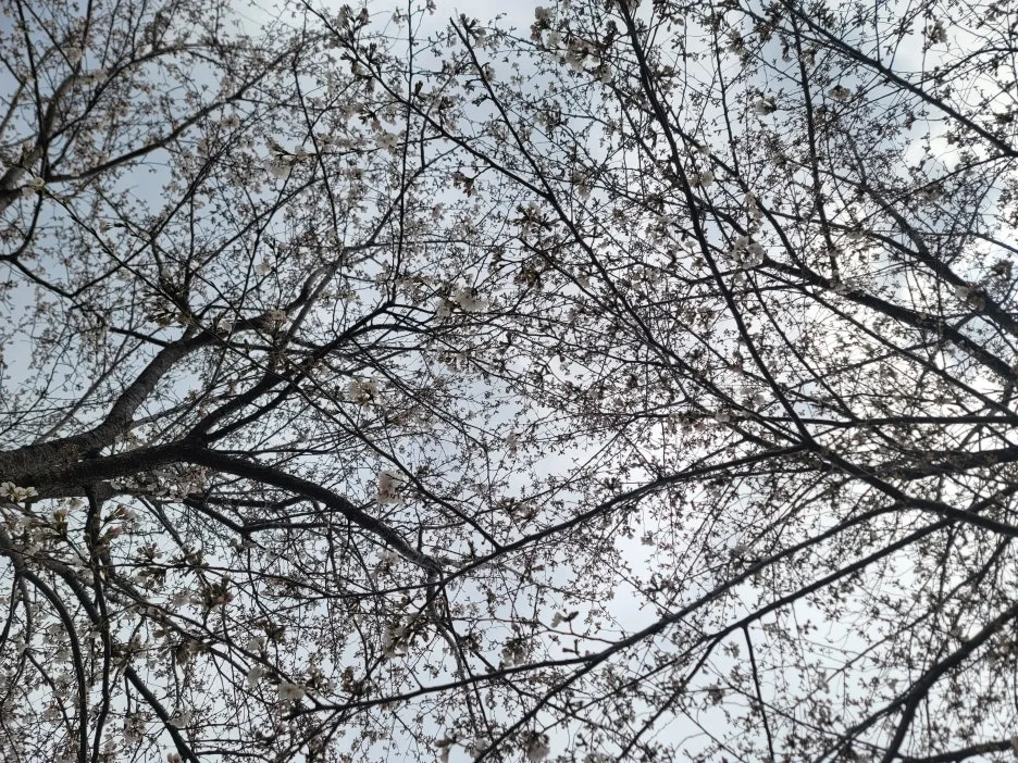 20250329_134537.jpg?type=w1